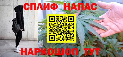 сатива Кунгур
